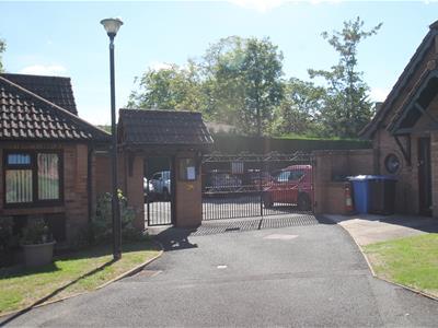Picture 17